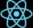 React JS