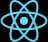 React JS